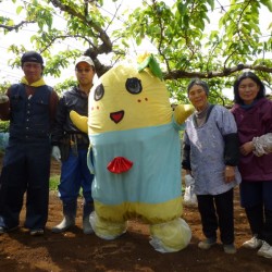 ふなっしー「あつっしーありがとなっしー」