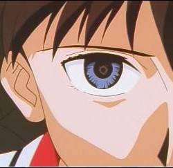 シンジ「肉をセンターに置いて強火……  肉をセンターに置いて強火……」