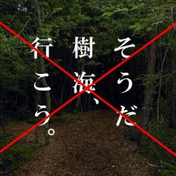 そうだ樹海、行こう