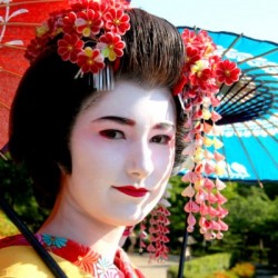 日本は海外から「豚もおだてりゃ木に登る」的に思われてるのかも…