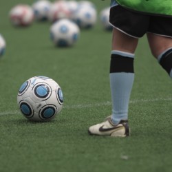 子どもの基準は楽しいかどうか、風評に揺れる大人とはそもそも物差しが違う