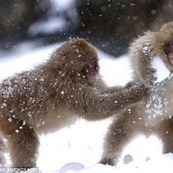 【2記事】万人に当てはまるわけないのになんで結婚は人生の墓場とか自信満々に言うわけ？