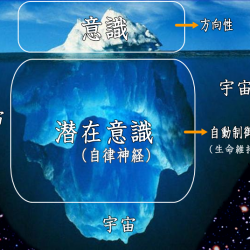 自分そのものがネットに保存される感覚を得た時、肉体はただの生命維持装置になるのかもね
