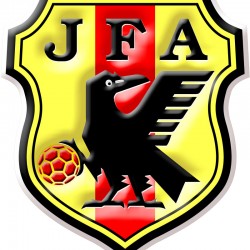 VSチュニジア戦は国内組と海外組の意識がまだ共有されてない感じがした