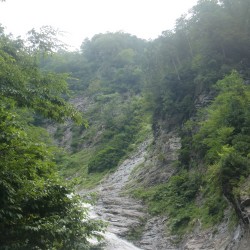 人類が最後に探したかったものは、『同類』だったのかもしれないね