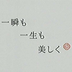 資生堂ショック　←男VS女から女VS女へ