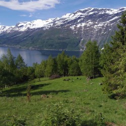 英シンクタンク「住みやすい国No,1はノルウェーです！！」