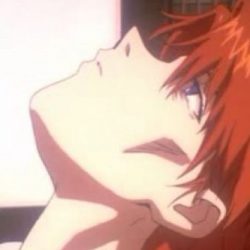 シンジ「アスカ、ご飯…」アスカ「…そこ置いといて」