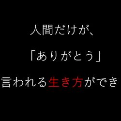 感謝を受信できるのは人間だけ
